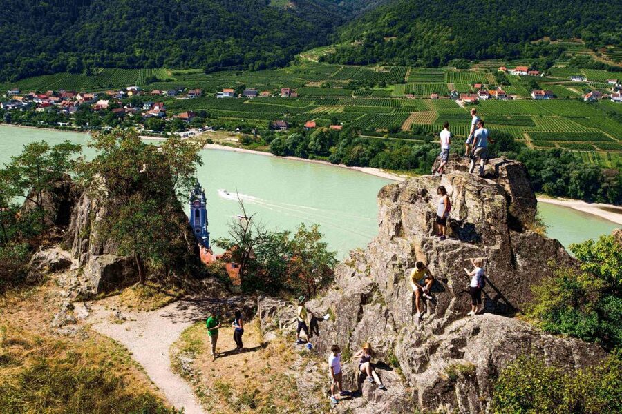Grape Grazing: Wachau Valley Winery Biking Tour - Krems Back and the Train Home: A Day That Ends Without a Slog