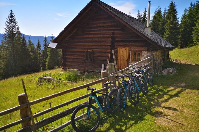 Guided e-bike tour of the alpine pastures in the Salzkammergut - A Half-Day of Pastures and Alpine Huts Around Hallstatt
