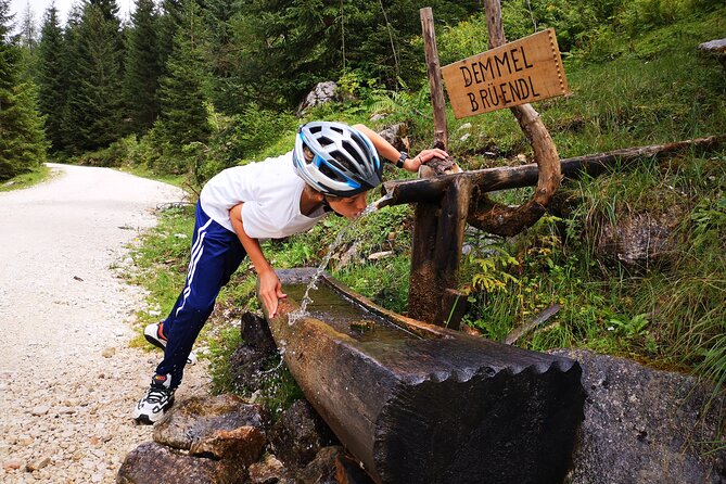 Guided e-bike tour of the alpine pastures in the Salzkammergut - E-Bike Reality Check: You Still Climb, You Still Control