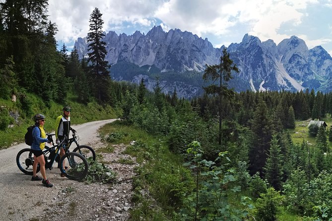 Guided e-bike tour of the alpine pastures in the Salzkammergut - Should You Book This Tour from Hallstatt?