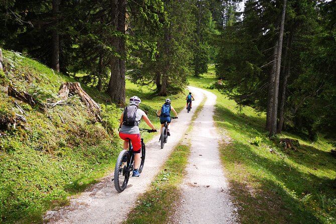 Guided e-bike tour of the alpine pastures in the Salzkammergut - Price and Value for a Guided E-Bike Day