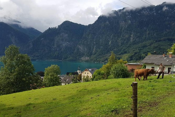 Hallstatt Small-Group Day Trip from Vienna - The small trade-offs, because no day trip is perfect