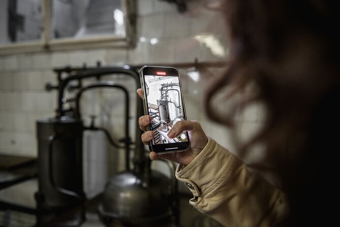Historical Pharmacy Cellar Guided Tour - Inside the tour: what you can expect underground