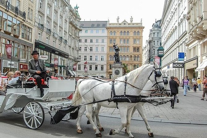 Hofburg Imperial Palace and Sisi Museum Skip the line tour - How the guide style can make or break the tour