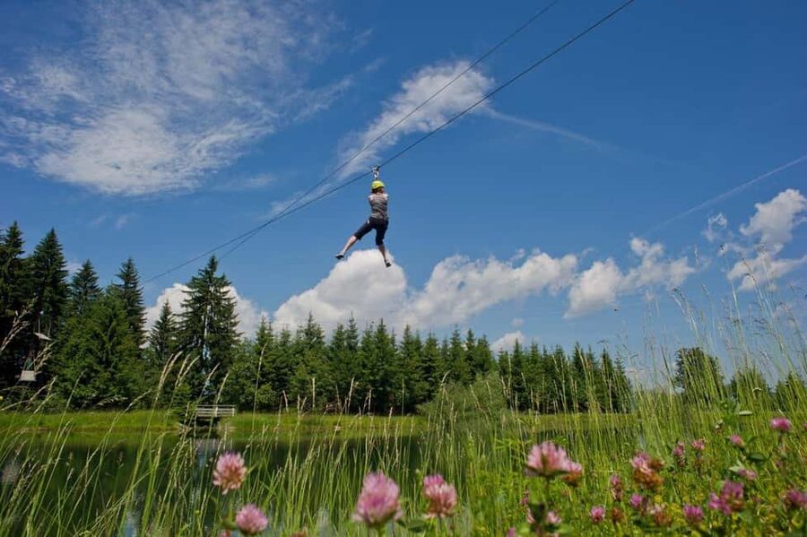 Hornpark - High Ropes Course - Should you book Hornpark high ropes?