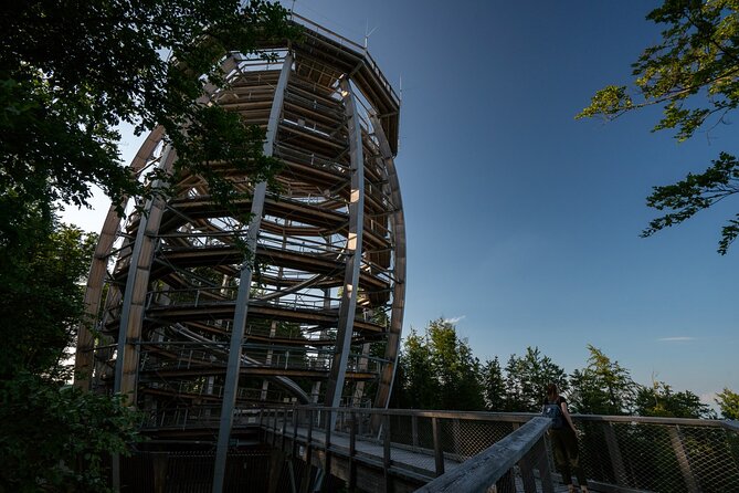 Immersive Private Tour: Hallstatt After the Crowds & Treetop Path - Stop 4: Baumwipfelpfad Salzkammergut treetop walk and the 39-meter panorama