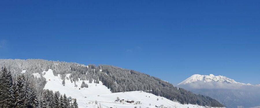 Innsbruck: Christmas Tour with a licensed guide - Key highlights you will feel right away