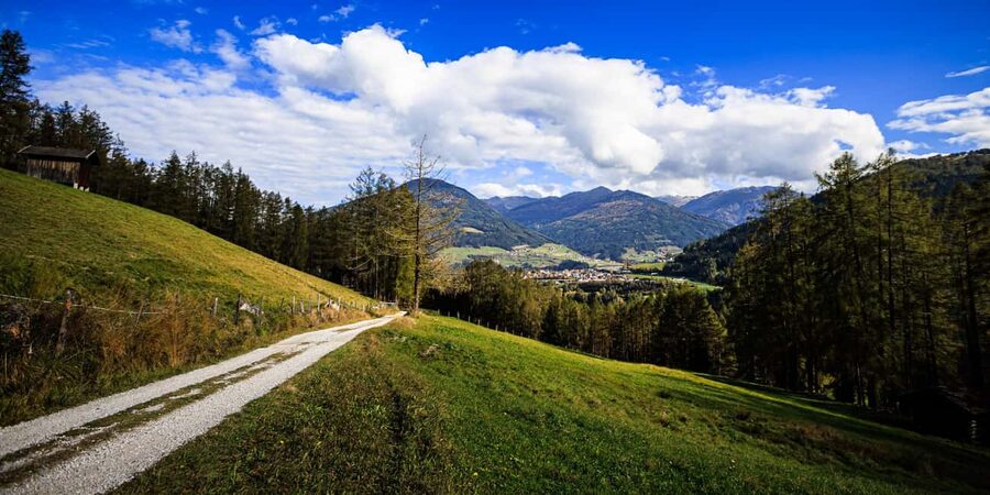 Innsbruck: Panoramic hike over the Telfer Wiesen - Telfer Wiesen: wide paths, meadows, and first big panoramas