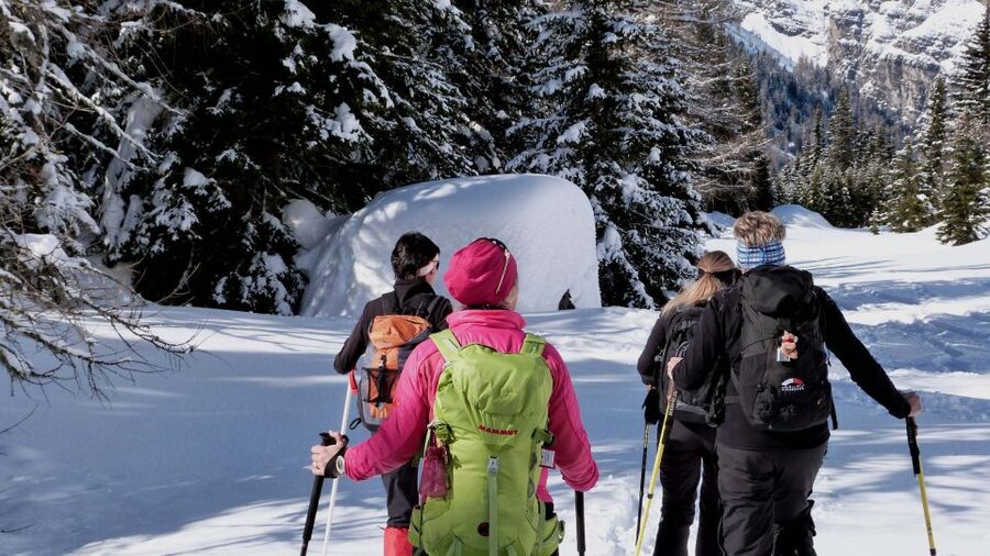 Innsbruck: Priv. Guided Snowy Mountain Hike /Snowshoe´s - Key Points You’ll Care About