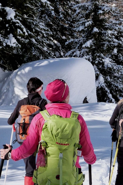 Innsbruck: Priv. Guided Snowy Mountain Hike /Snowshoe´s - From Pickup in 6020 to a 4.5-Hour Guided Mountain Window