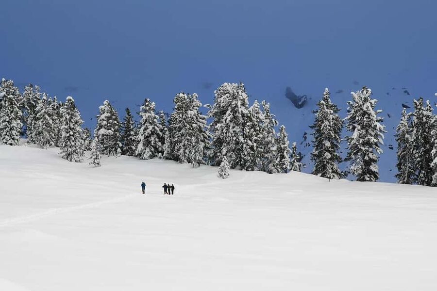 Innsbruck: Snowshoe Tours with Tyrolean Guide Transfer inkl. - Key moments that make this tour worth your time