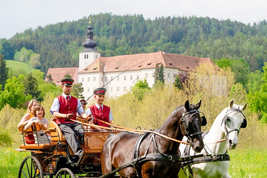 Lipizzaner Stud Piber: Guided Tour - Price and value: is $28 worth your time?