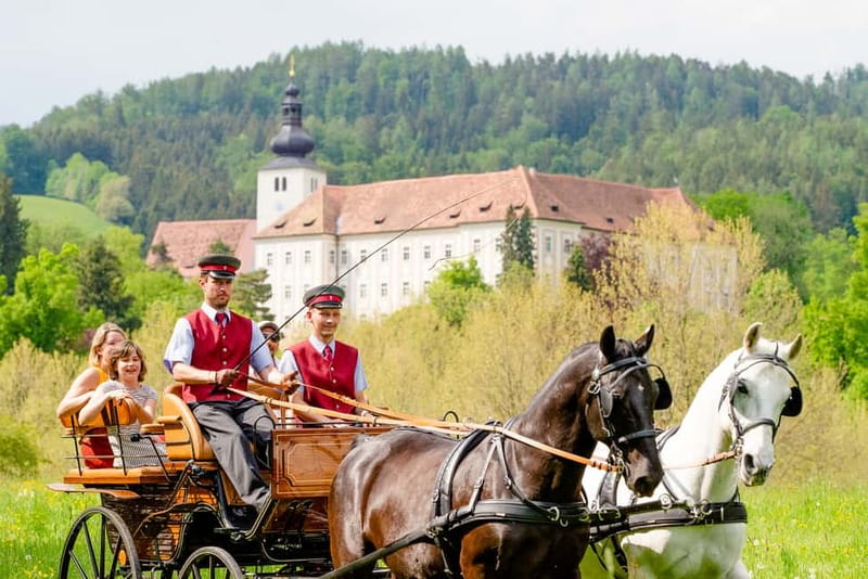 Lipizzaner Stud Piber: Guided Tour - Start at the ticket shop and get oriented fast