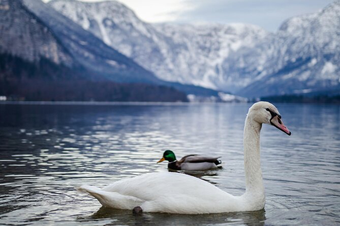 Magical Hallstatt Day Trip from Vienna - The free time gap, how not to waste it