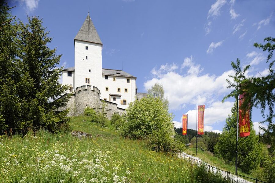 Mauterndorf: Castle Entrance Ticket - Key things to notice before you go