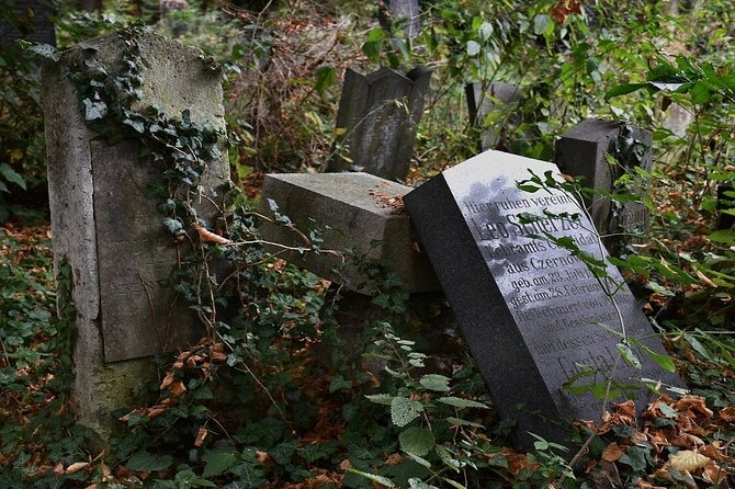 Mobile puzzle rally tour at the Vienna Central Cemetery - Quick highlights: why this Zentralfriedhof puzzle rally works
