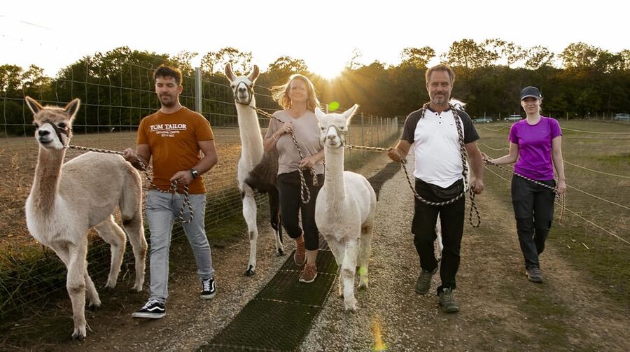 Mödling/Vienna: Scenic Guided Hike with Alpacas and Llamas - Meeting Your Alpaca or Llama at Mödling Farm