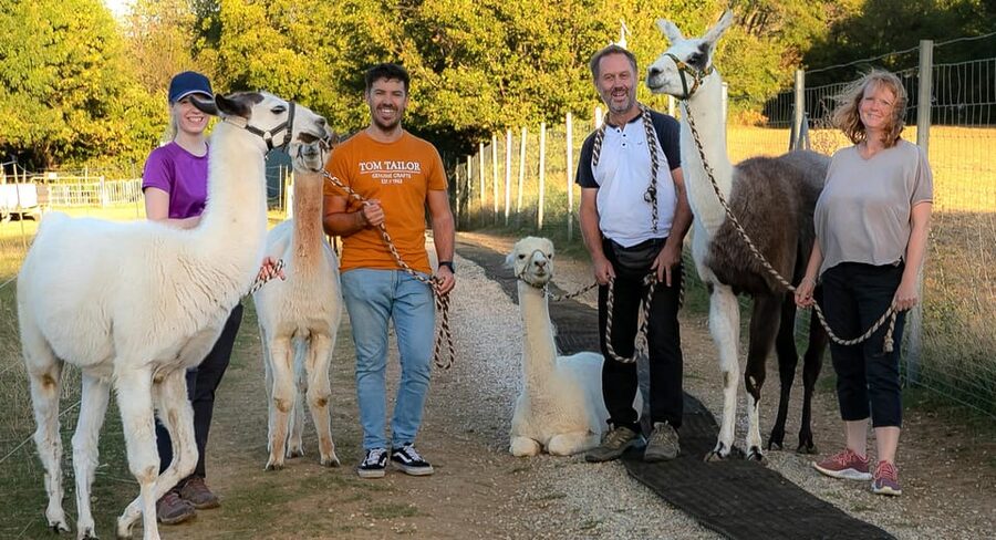 Mödling/Vienna: Scenic Guided Hike with Alpacas and Llamas - The Learning Part: Personalities, Care, and Middle-earth Names