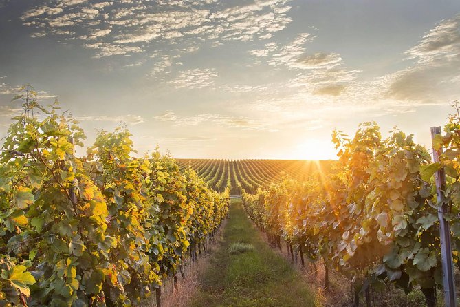 Prague-Vienna One-Way Sightseeing Day Tour - Mikulov Castle, the town square, and optional wine cellar time
