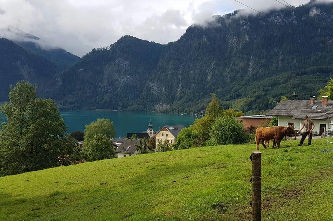 Private Day Trip from Vienna to Hallstatt - Lake Mondsee and St Gilgen: lakeshore time plus Mozart House access
