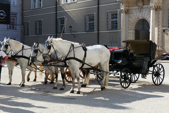 Private full day tour to Salzburg from Vienna with a local guide - St. Peter’s Abbey, cathedral area, and where lunch fits