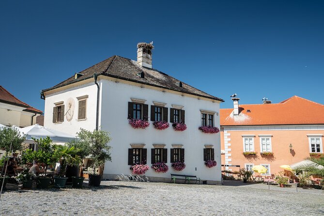 Private Guided Full Day Tour to charming Burgenland region with Wine tasting - The private format: pickup, pacing, and a guide who can flex