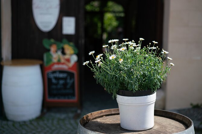 Private Guided Full Day Tour to charming Burgenland region with Wine tasting - Practical notes for your day in Burgenland