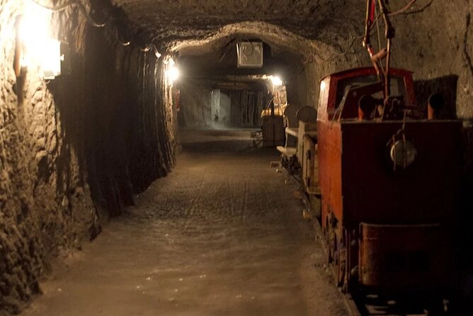 Private guided tour from Vienna to Hallstatt with Skywalk & Salt Mine Experience - A guided 2-hour Hallstatt walk, where the guide earns their pay