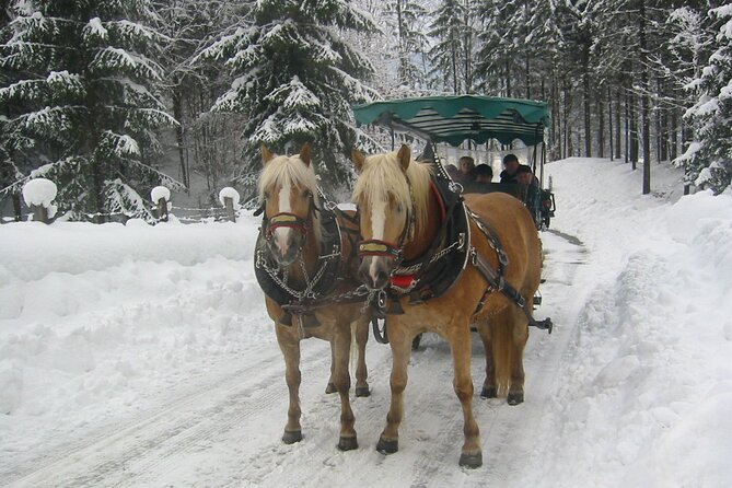 Private Horse-Drawn Sleigh Ride from Salzburg - Key things to know before you go