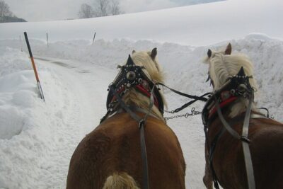 Private Horse-Drawn Sleigh Ride from Salzburg