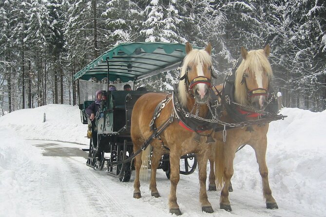 Private Horse-Drawn Sleigh Ride from Salzburg - Price and value: what you are paying for, and what can disappoint