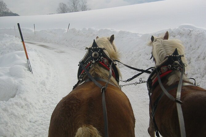 Private Horse-Drawn Sleigh Ride from Salzburg - Faistenau area walk and the point of that short stop