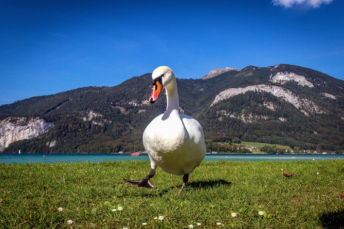 Private Lake District, St. Wolfgang and St. Gilgen Tour - St Gilgen Mozartplatz: a simple stop that pays off