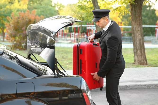 Private One-way Transfer Vienna Airport To Vienna - Families and Special Needs: Seats, Service Animals, and Practicalities