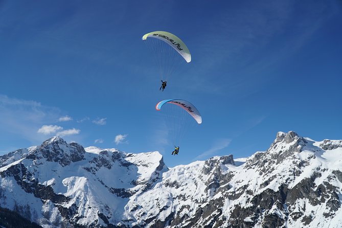 Private Tandem Paragliding Werfenweng Mt Bischling - Landing, parking, and the final steps back to your meeting point