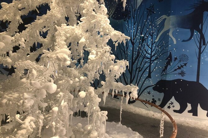 Private Tour of Swarovski Crystal World from Innsbruck - The Swarovski story, from family history to modern uses