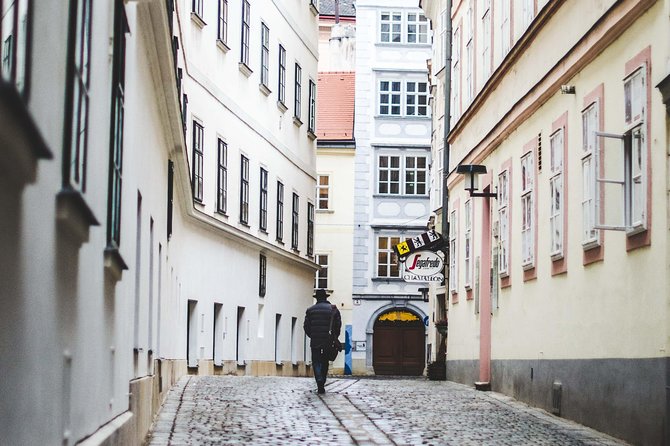 Private transfer from Salzburg to Vienna with 4h of Sightseeing - Timing, tickets, and the driver role you should expect