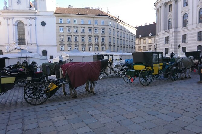 Private Transfer from Venice to Vienna or Vienna to Venice - The Driver and Vehicle Combo: Comfort First, Then Views