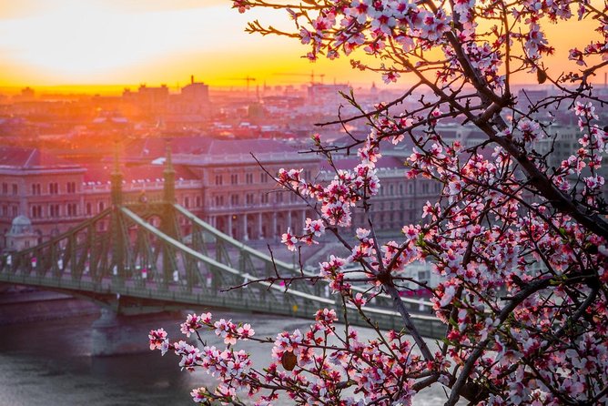 Private Transfer from Vienna to Budapest with 2 hours for sightseeing - Getting the right vehicle size for luggage and comfort