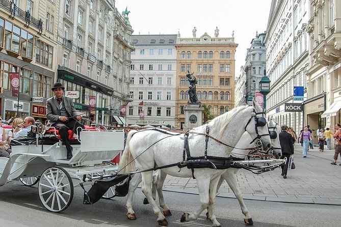 Private Vienna City Tour with Schonbrunn Palace Visit - Key Points I’d Use to Decide