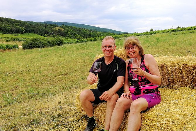 Private Vienna Woods Wine Tour - Price and Value: What You’re Really Paying For