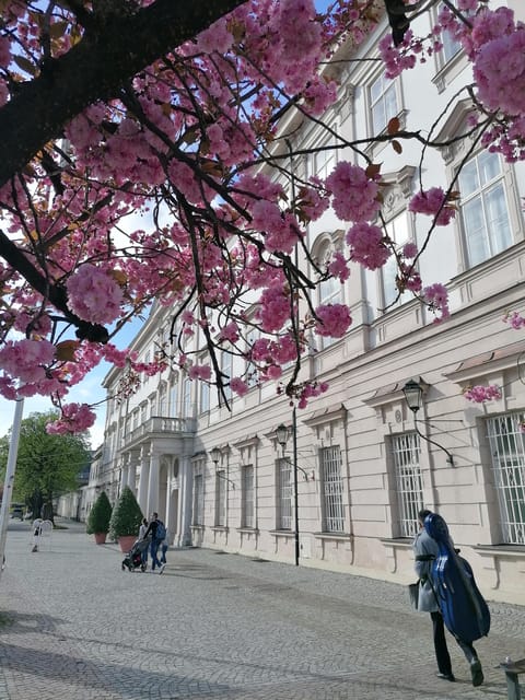 Salzburg: Classical Music Concert at the Mirabell - Key things to know before you go