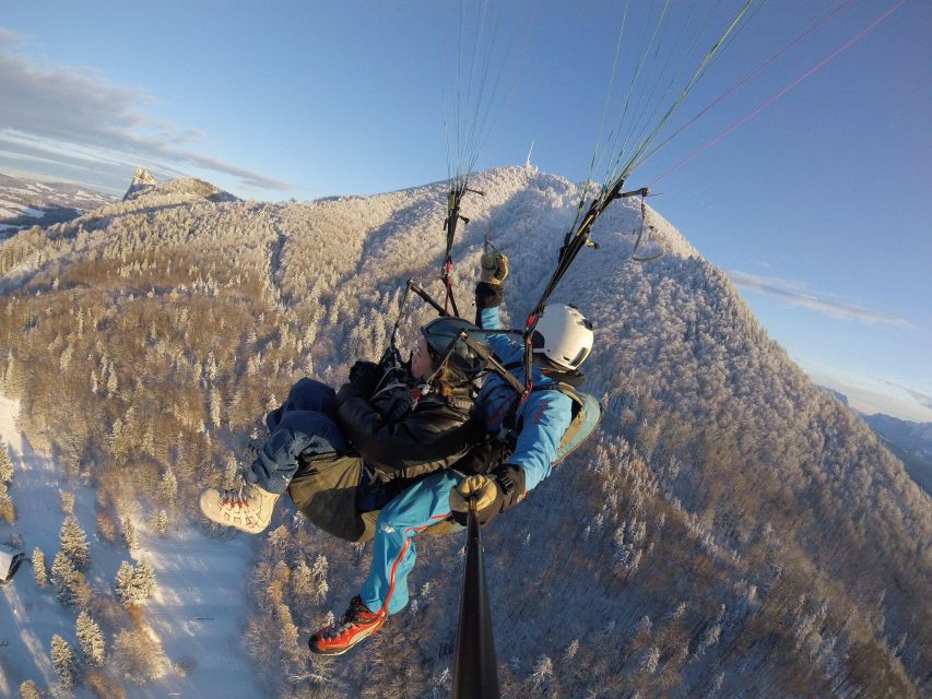 Salzburg like an eagle: tandem paragliding from Gaisberg - Key things to know before you book
