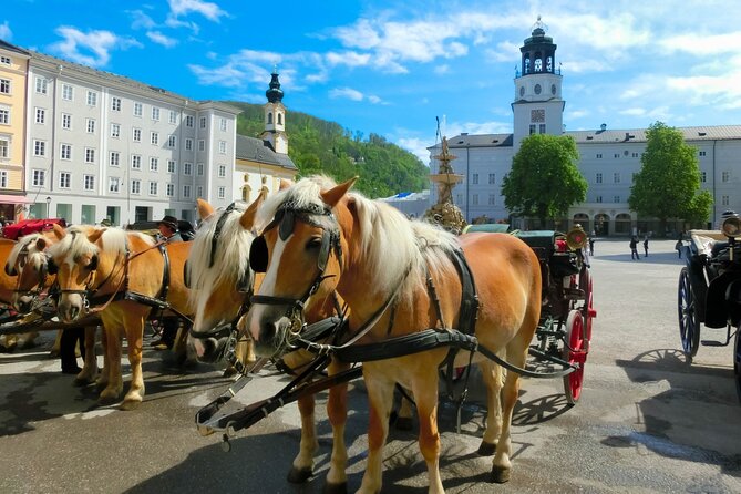 Salzburg: Small-Group Day Trip from Vienna - Vienna Woods to Melk Abbey views: the start that sets the tone