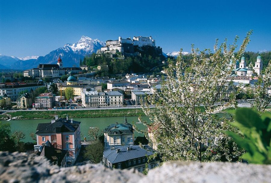 Salzburg: Sound of Music Private Half-Day Tour - Salzburg’s Sound of Music locations feel personal, not touristy