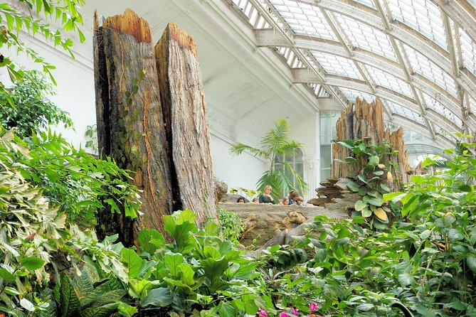 Schmetterlinghaus - Imperial Butterfly House Vienna Admission Ticket - Finding Schmetterlinghaus in Vienna’s Hofburg Area