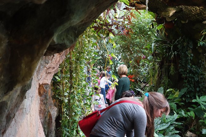 Schmetterlinghaus - Imperial Butterfly House Vienna Admission Ticket - Butterflies, Plants, and the Humidity Factor