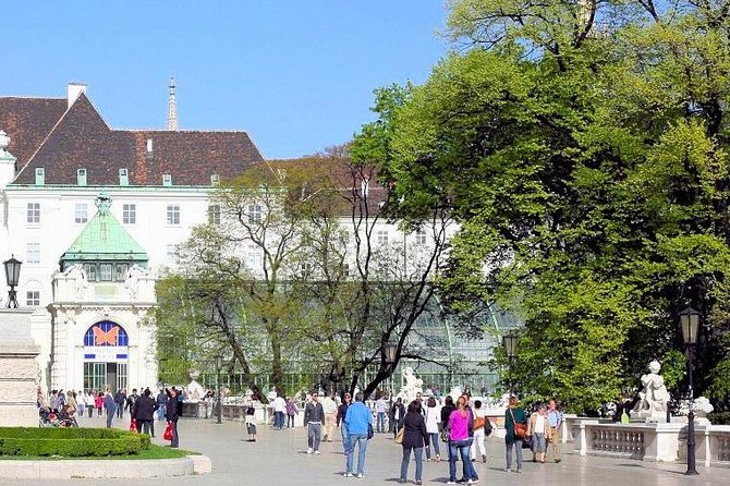 Schmetterlinghaus - Imperial Butterfly House Vienna Admission Ticket - Price and Ticket Value: What $13.14 Really Buys You