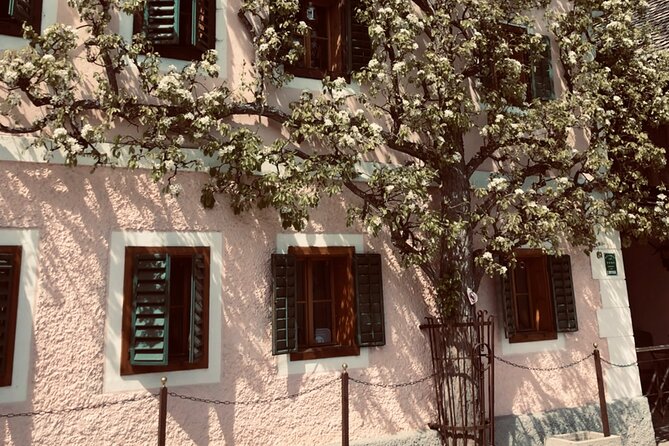 Self-Guided Private Tour of Hallstatt. Best photo-points, panoramic views, cafes - Lutheran Church viewpoint: the last classic photo from a famous angle