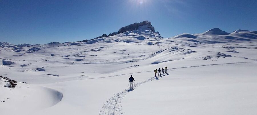 Snowshoe tour Ifen/Gottesacker Allgäu Kleinwalsertal - Price and value: what $111 buys, plus the lift ticket reality